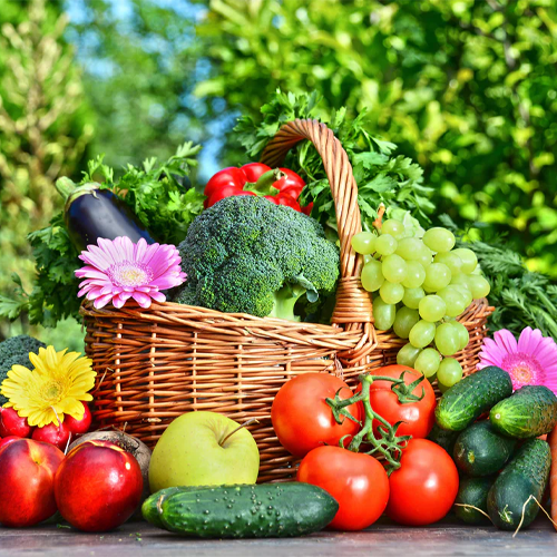 Horticultural Products