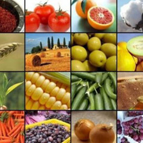 Agro/ Agri  Products 