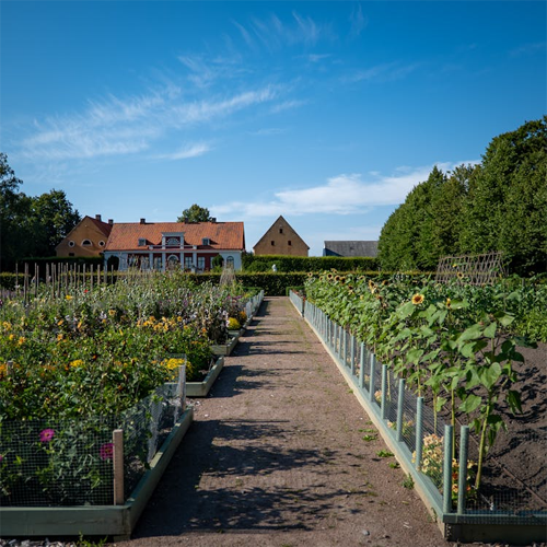 Greenhouse & Polyhouse Supplies