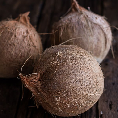 Edible Coconut Products