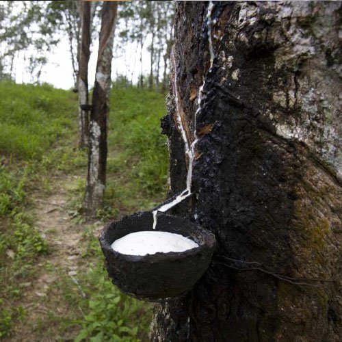 Natural And Synthetic Resin