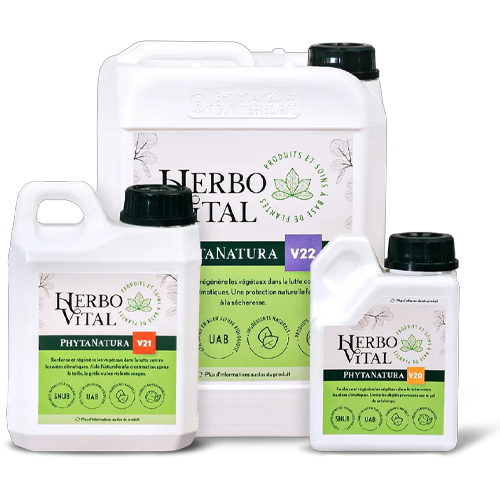 Herbo-mineral Formulations