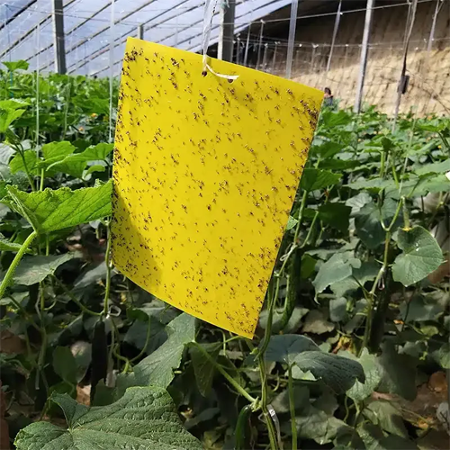 Pest & Disease Control Equipment