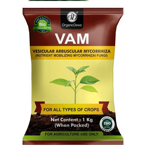 Arbuscular Mycorrhizal Fungi 