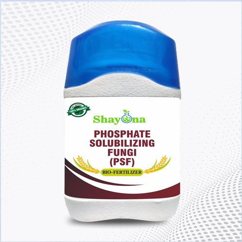  Fungal Phosphate Solubilizers
