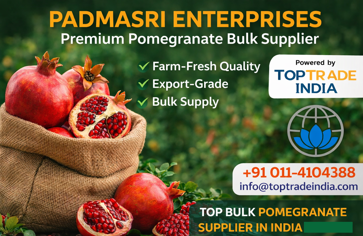 Premium Pomegranate Bulk Supplier in India – Padmasri Enterprises | Powered by Top Trade India