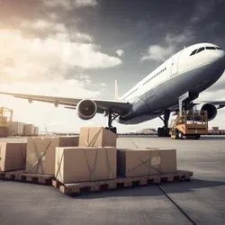 Domestic Air Cargo Service