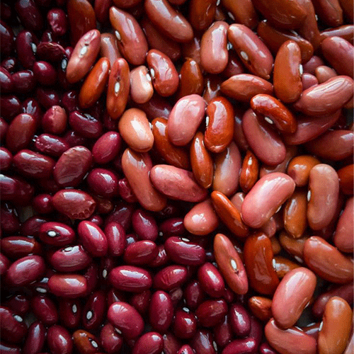 Rajma (Kidney Beans)