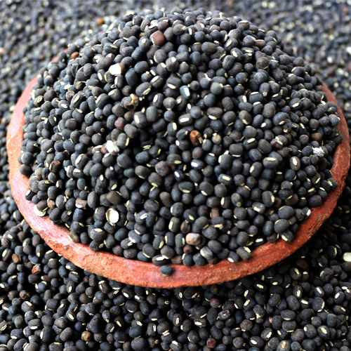 Urad (Black Gram)