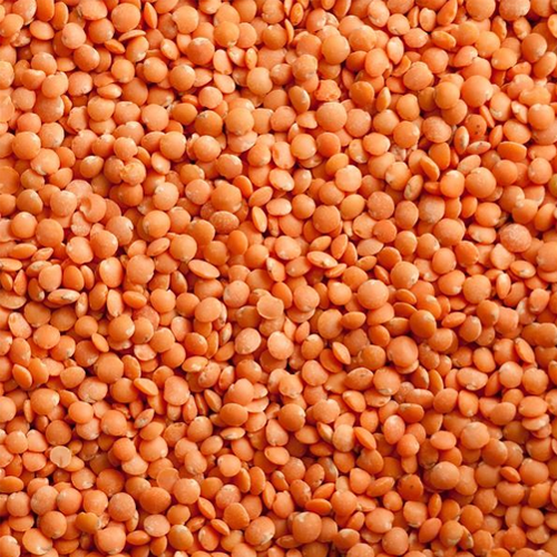Masoor (Lentil)