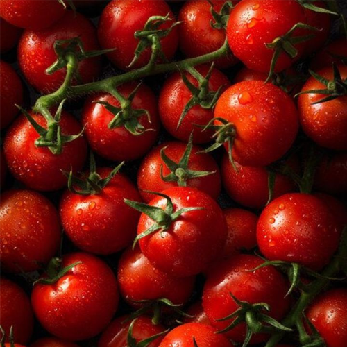 Tomato