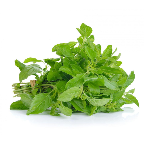 Basil (Tulsi)