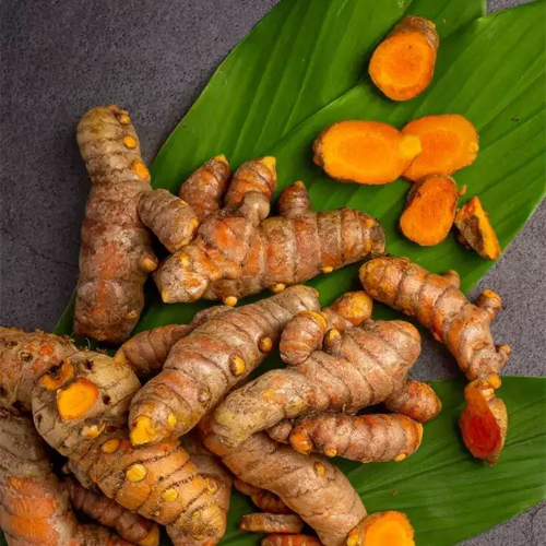 Turmeric Rhizome