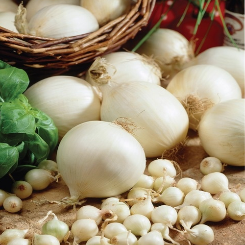 White Onions