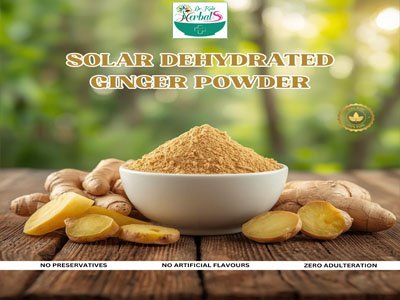 Solar dehydrated peeled Ginger powder