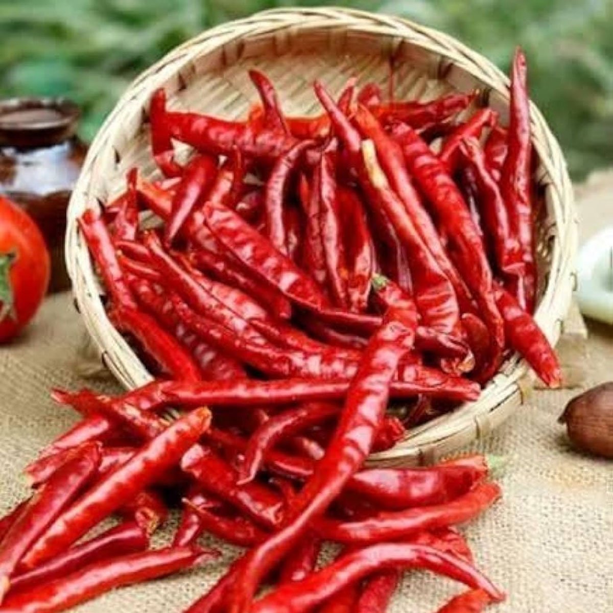 Red Chilli