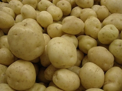 Fresh Potato