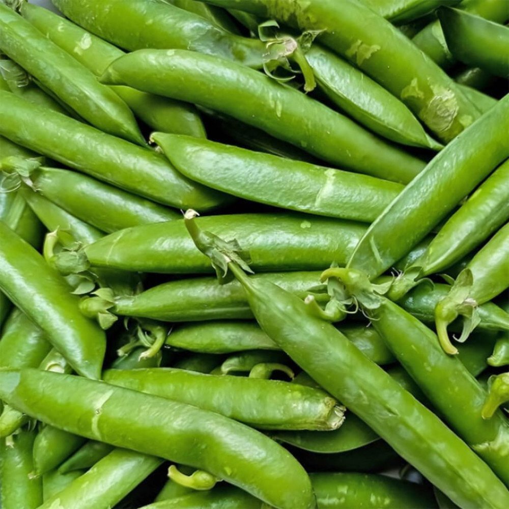 Fresh Green Peas