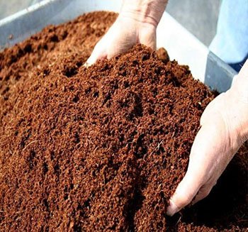 Cocopeat Block