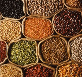 Pulses