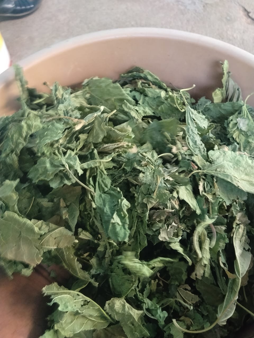 Mulberry Leaves