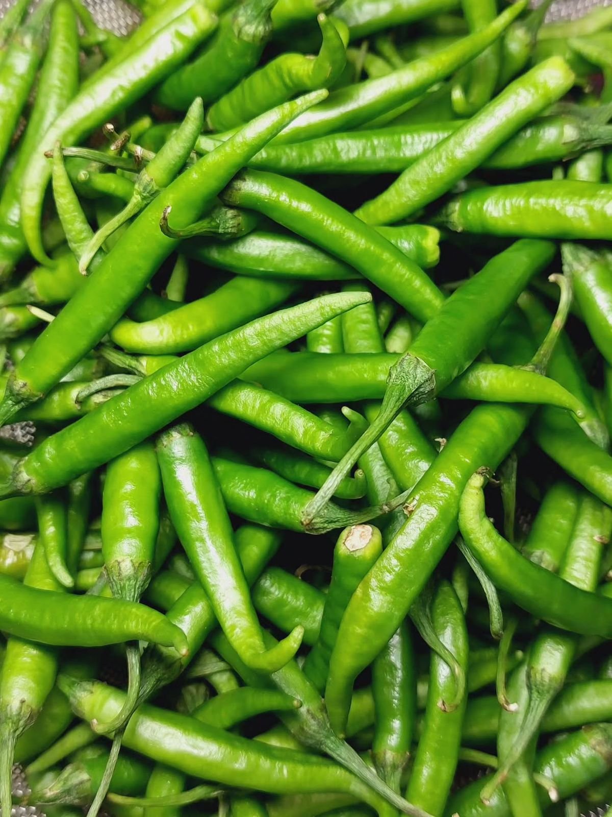 Green Chilli