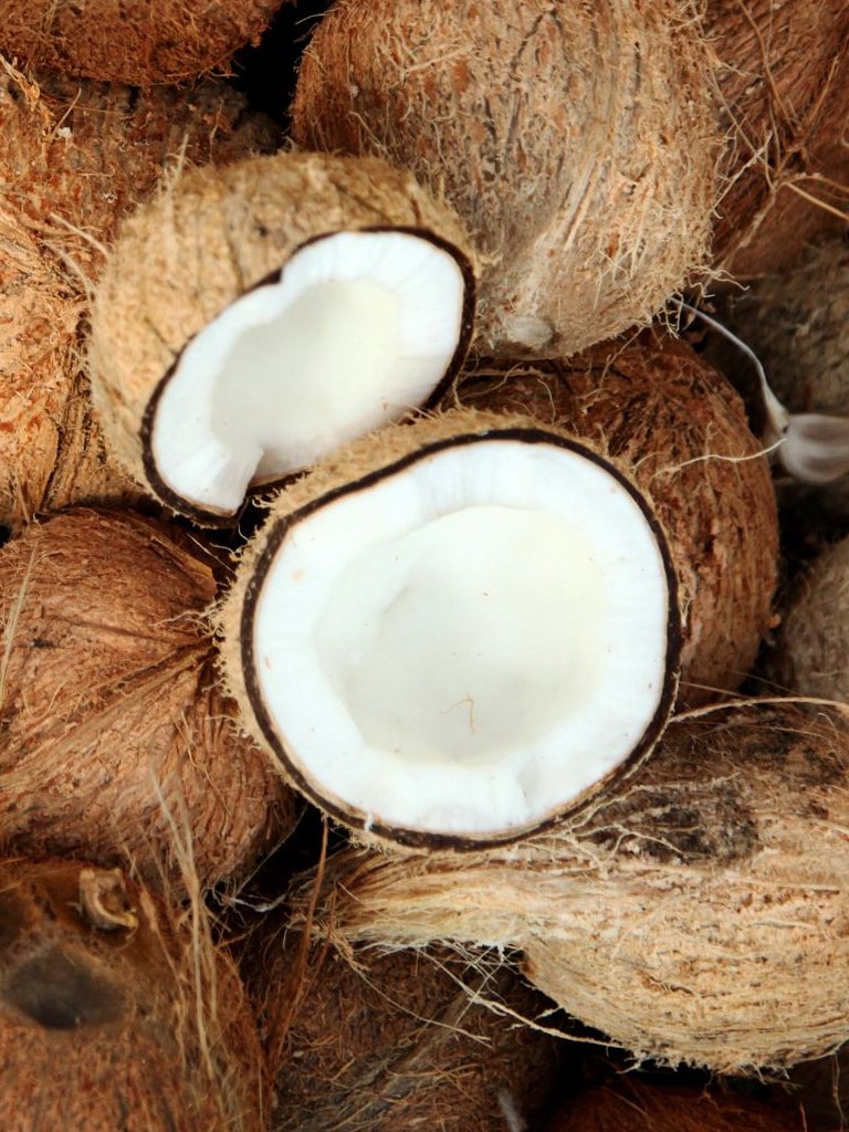 Coconut