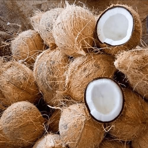 Coconut