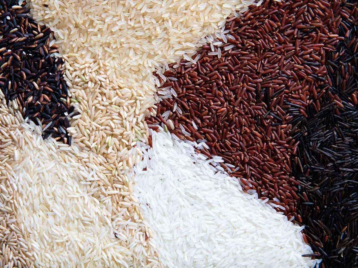 All Kinds of Rice